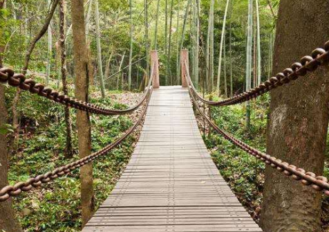 景區(qū)內火起來的“網紅吊橋”